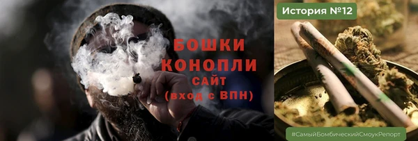 прущие грибы Абинск