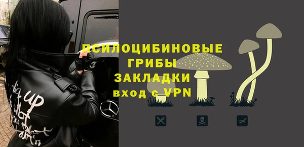 прущая мука Абаза