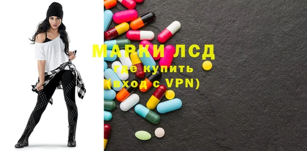 прущие грибы Абинск