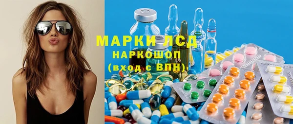 прущие грибы Абинск