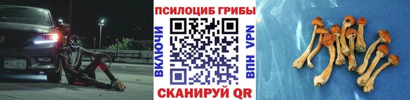 Галлюциногенные грибы прущие грибы  что такое наркотик  Торжок 